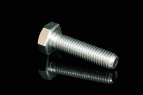 Screws with Hexagonal Head 